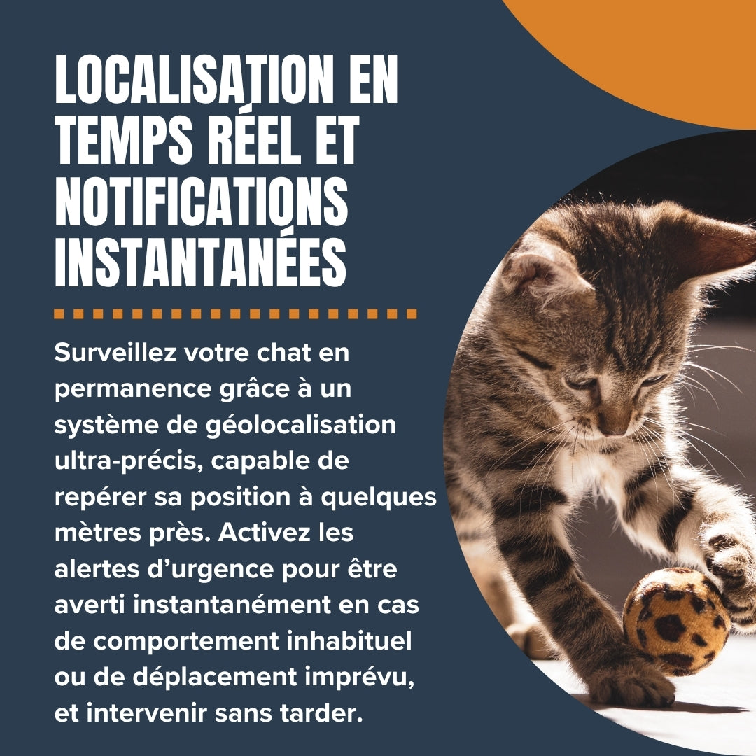 GPS pour Chat – Compatible iOS / Android, Sans Abonnement
